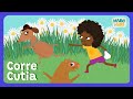 CORRE CUTIA (Corre Cotia) | brincadeira de roda | desenho infantil | Mabô e Fifi @maboefifi