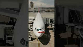 Flugzeuge 50 % effizienter und doch fliegen sie nicht?!
