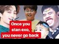 this video will make you fall in love with exo