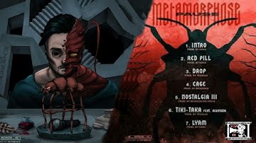 PAUSE flow  METAMORPHOSE