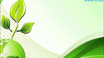 Green Abstract Lines Background PowerPoint Templates Themes And Backgrounds ppt layouts