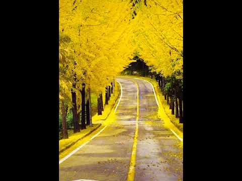 مناظر جميلة إستمتع مع أجمل مناظر في العالم