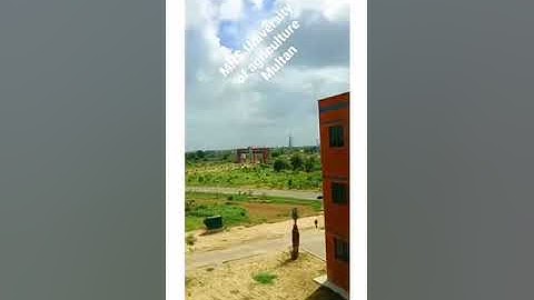 MNS-university Multan