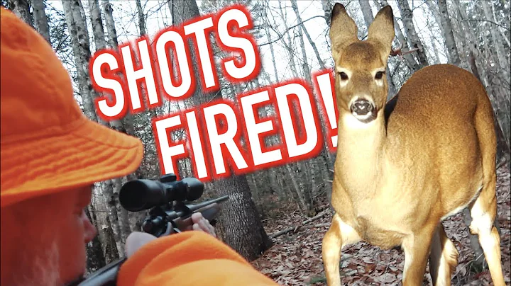 Maine Deer Hunting | SHOTS FIRED! Ep. 8