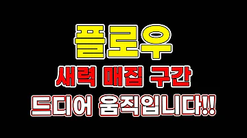 플로우코인 세력 매집 구간 드디어 움직입니다 플로우코인전망 코인추천 트레이더메타