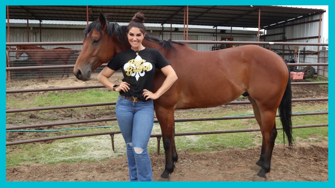 HOW MY HORSES LOOK GREAT ALL YEAR...(IN SHAPE, SLICK, CLEAN, AND HEALTHY!)