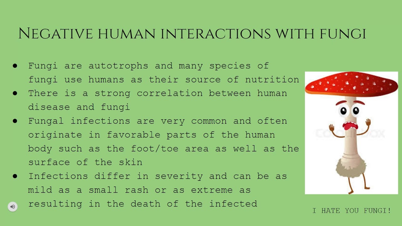 Fungi Presentation Google Slides