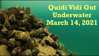 Quidi Vidi Underwater in front of Plantation wharf