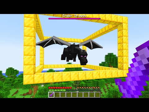 Minecraft player brings the Ender Dragon to the Overworld without