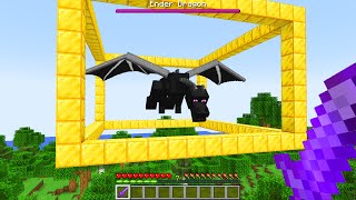 I Trapped the Ender Dragon in the Overworld