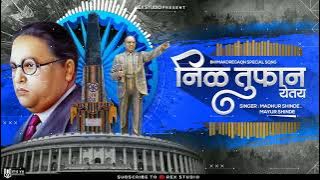 Nil Tufan Yetay (Bhima koregaon Song) Madhur Shinde, Mayur Shinde | निळं तुफान