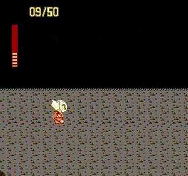 Obscure Game Theater - Splatterhouse - NES - 3 of 3