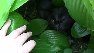 Corbet in his favorite summer spot