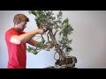 Bonsai Demo Bjorn Bjorholm