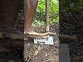 Bow drill on stone #primitivefirelighting #bushcraft