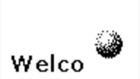 Samsung SGH-E100 (External Screen) Startup and Shutdown #phone 