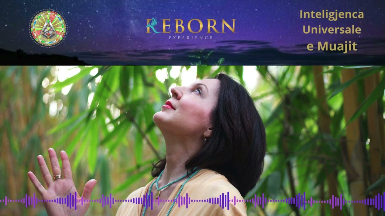 Pulsi Energjik dhe Inteligjenca Universale e muajit Nëntor 2025