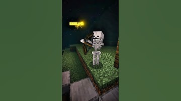 Skeletons Java vs Bedrock #minecraft #minecraftmemes #meme #skeleton #java #bedrock