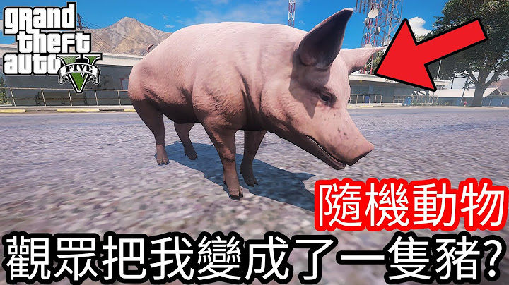 【Kim阿金】嚴禁抖內 觀眾竟然把我變成了一隻豬？！ Day 8