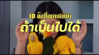 10 วิธี ที่ทำให้คุณภาพชีวิตนกดีขึ้น