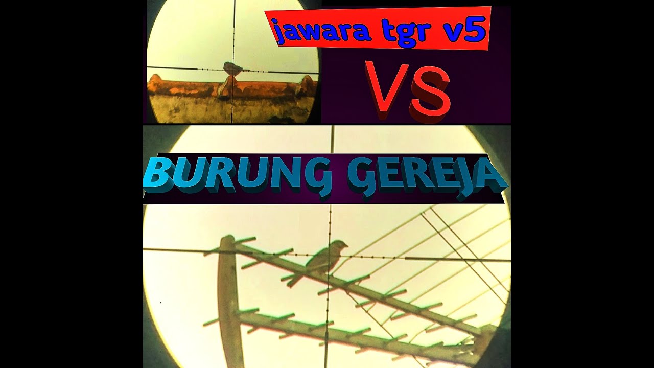 tes akurasi sharp jawara tgr v5 setandart vs gr 12