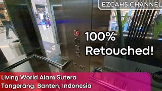 2 Hyundai Scenic Elevators - Living World Alam Sutera