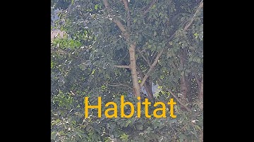 6th Class Science # 6th Lesson # HABITAT @ Science Innovators