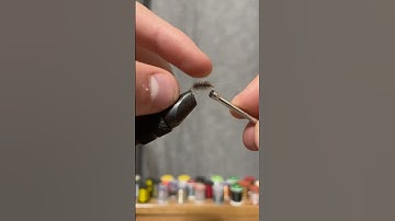 Tying a Ray Charles Sow Bug #flytying #shorts