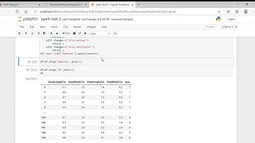 spark task 2   Jupyter Notebook and 2 more pages   Profile 1   Microsoft​ Edge 2020 11 09 21 13 11