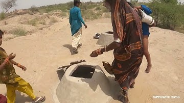 Survive in the harsh desert