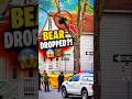 Crowd PANICS As Bear Falls Out Of Tree 🐻💥 #shorts