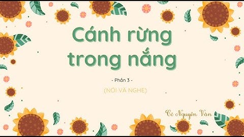 Bài 3: Cánh rừng trong nắng - Phần 3 - Tiếng Việt 3 - Kết nối tri thức với cuộc sống [OLM.VN]