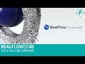 Realflow pour c4d le dmon k volume