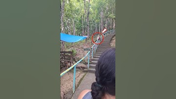 Would You Dare Slide Down 2,000 Stairs Like This #shorts #fyp