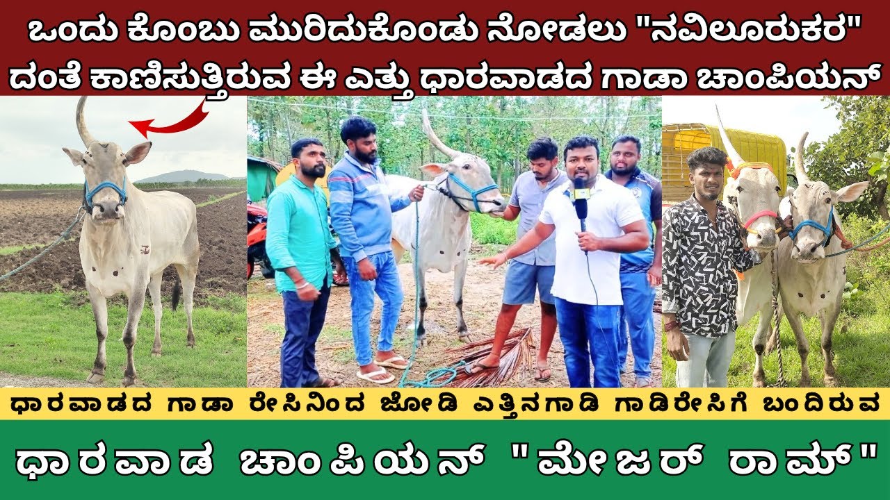 ಒಂದು ಕೊಂಬು ಮುರಿದುಕೊಂಡು ನೋಡಲು 