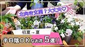 日陰向きの植物を使って 寄せ植え 寂しくなりがちな日陰にもリースを飾ってオシャレにガーデニング Youtube 日陰向きの植物を使って 寄せ植え 寂しくなりがちな日陰にもリースを飾ってオシャレにガーデニング Youtube