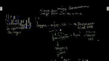 Cloning vector based on viral DNA