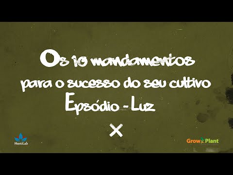 Vídeo: Guia de iluminação com efeito de estufa - Entendendo os termos comuns de cultivo de luz