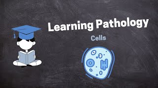 Pathology Introduction Lecture Part 2