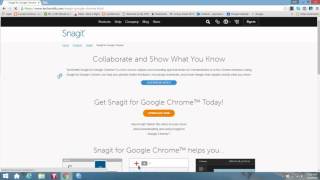 Get Snagit Free!!