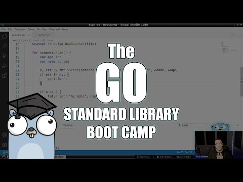 The Go Standard