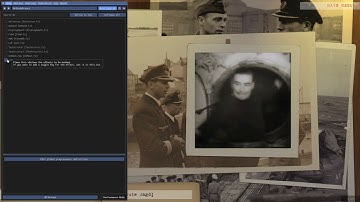Reshade Tutorial for Silent Hunter III