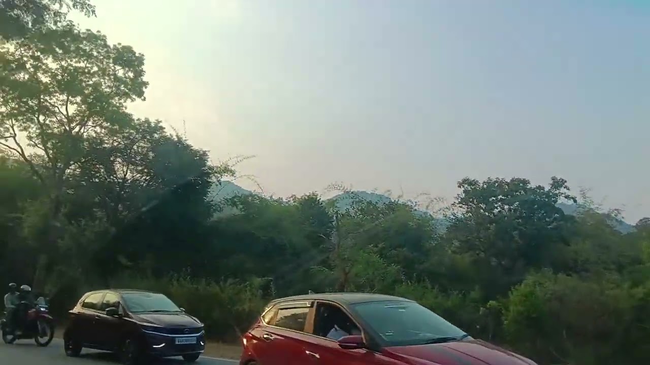 Nature Lovers Must Watch 🌿 | Hill View