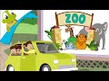 we are going to the zoo song