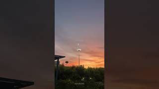 Janiye X Harleys In Hawaii  sedits aestheticstatus trendingshorts 