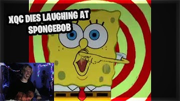 xQc dies laughing at Spongebob
