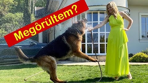 Csak én bírom nehezen? Tökéletlen vagyok, menekülni akarok!- Tünde tippjei, csajoknak