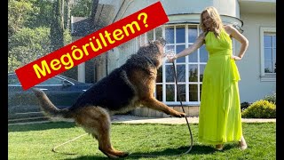 miért nem olyan szörnyű a féreg férgek és súlyuk