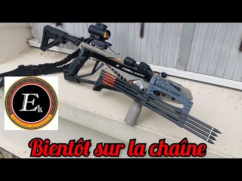 Teasing présentation Cobra