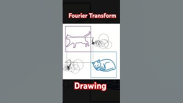 Fourier Transform Drawing #science #maths #mathematics #cat #drowing